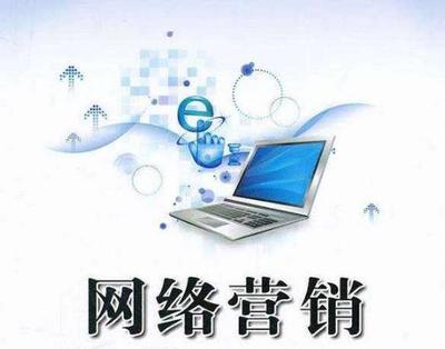 網絡營銷與互聯網銷售 數字時代的商業雙引擎